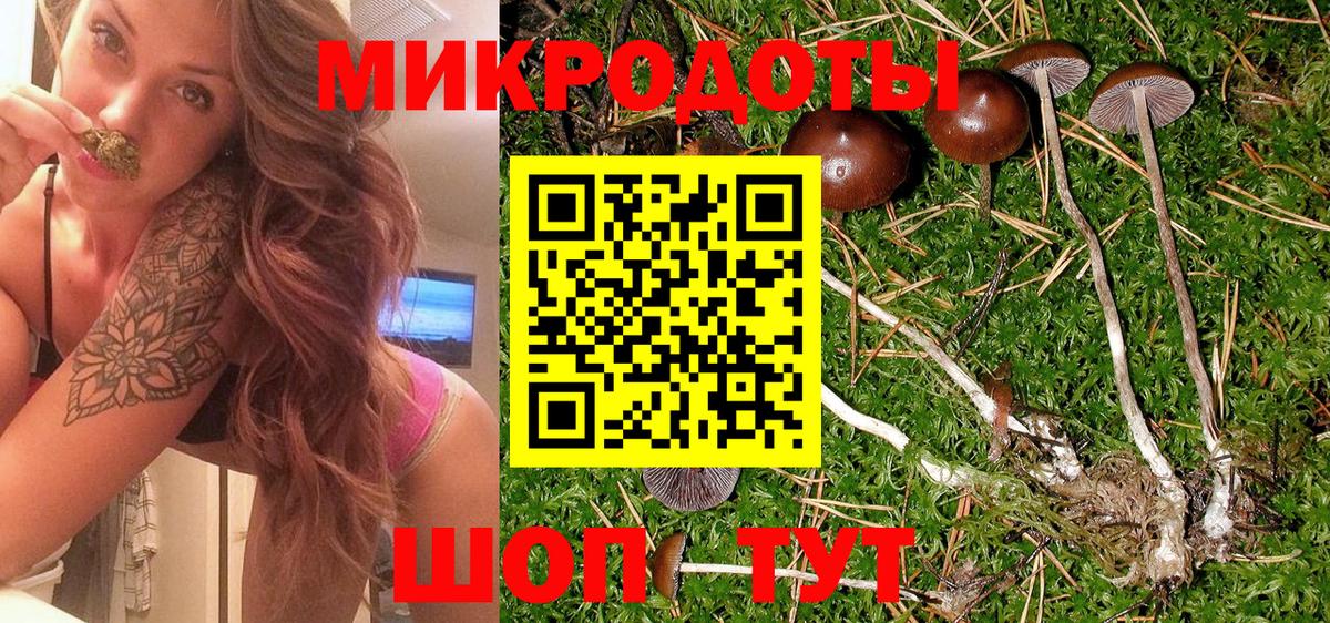 Йошкар-Ола  Псилоцибиновые грибы MAGIC MUSHROOMS  Вход с VPN 